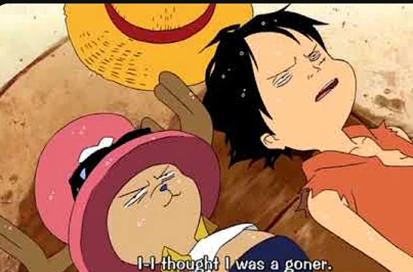 luffySleeping